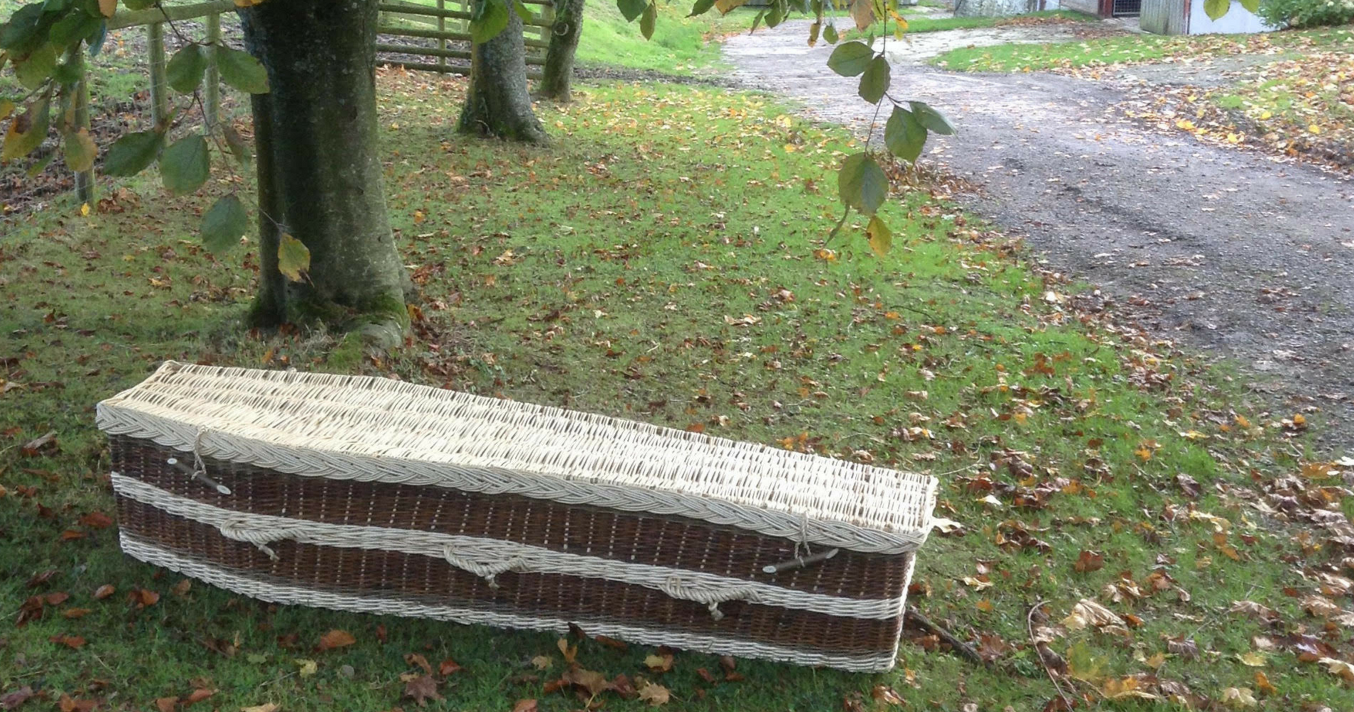 Wyldwood willow Coffin pic