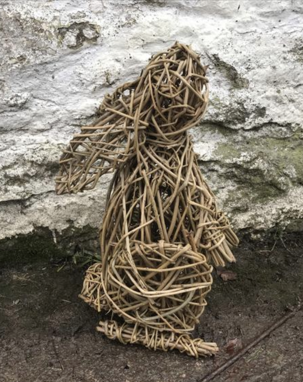 Willow Rabbit Wyldwood Willow
