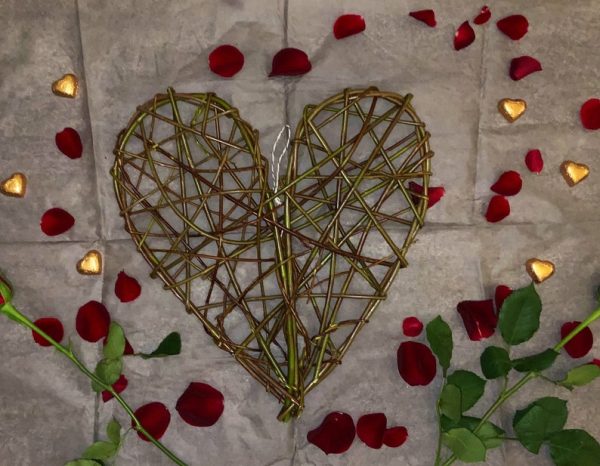 Willow Heart