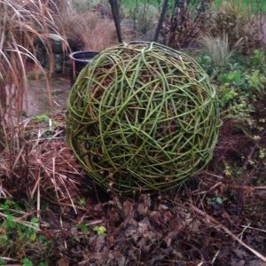 15th Jan Willow Sculpture 10am-4pm 2026